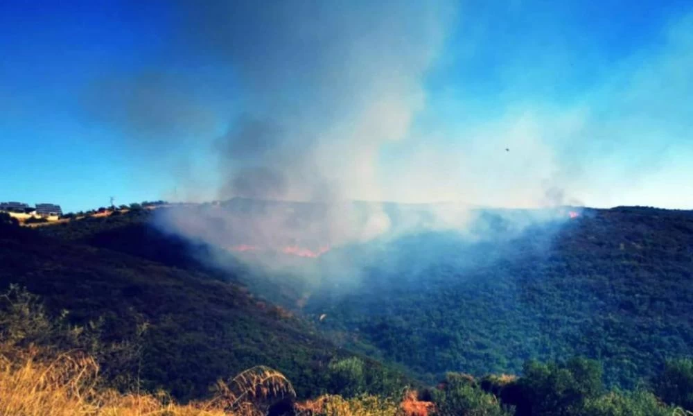 Ξέσπασε μεγάλη φωτιά σε Διόνυσο και Νέο Βουτζά - Διακοπές ρεύματος στη Νέα Μάκρη